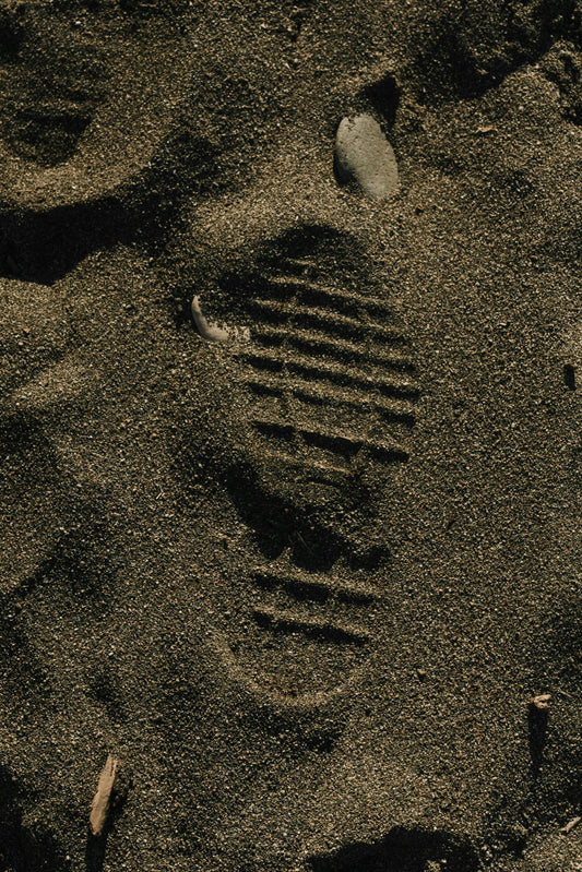 PRIMARY RESEARCH | Step Into Your Customers’ Shoes: Survey Insights for Smarter Marketing
