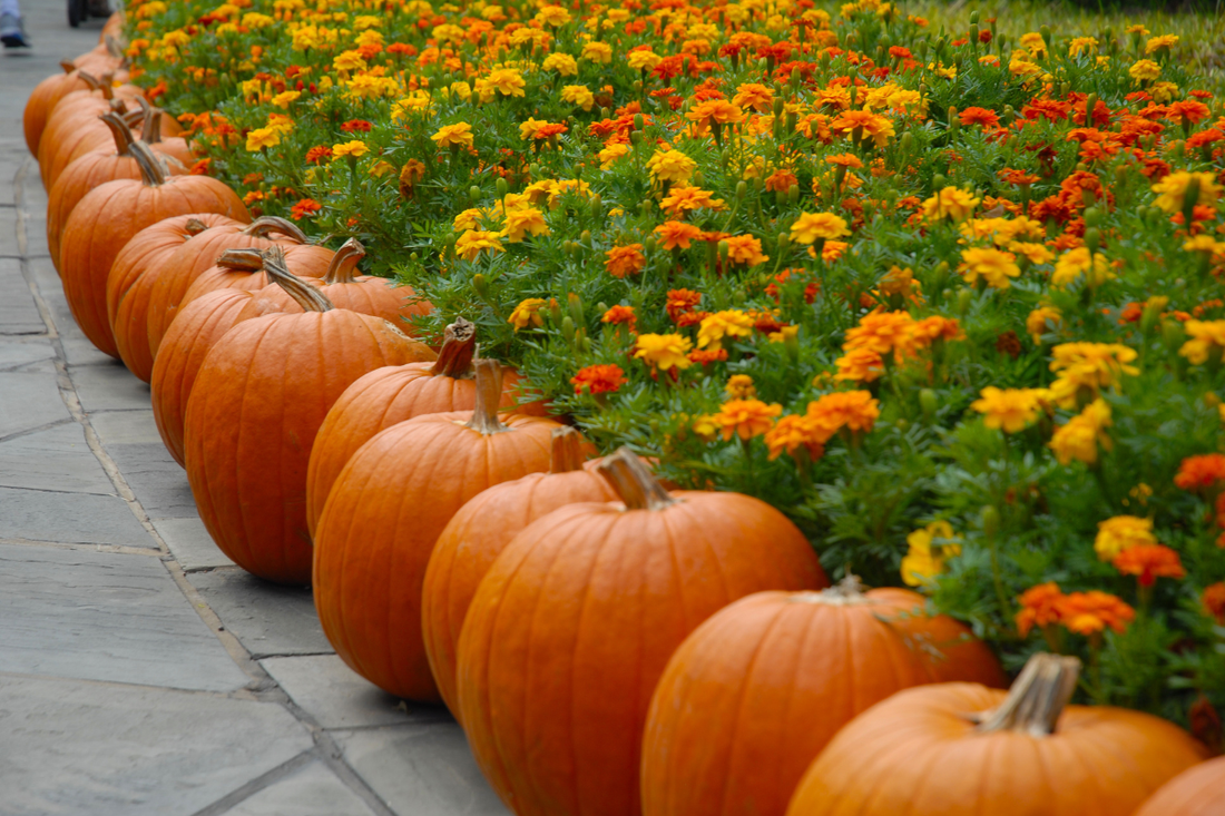 October Marketing Metrics: What to Track and Why