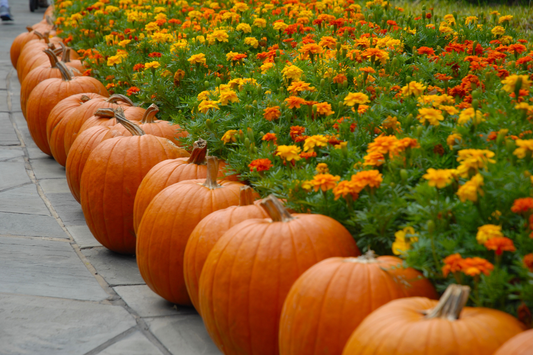 October Marketing Metrics: What to Track and Why