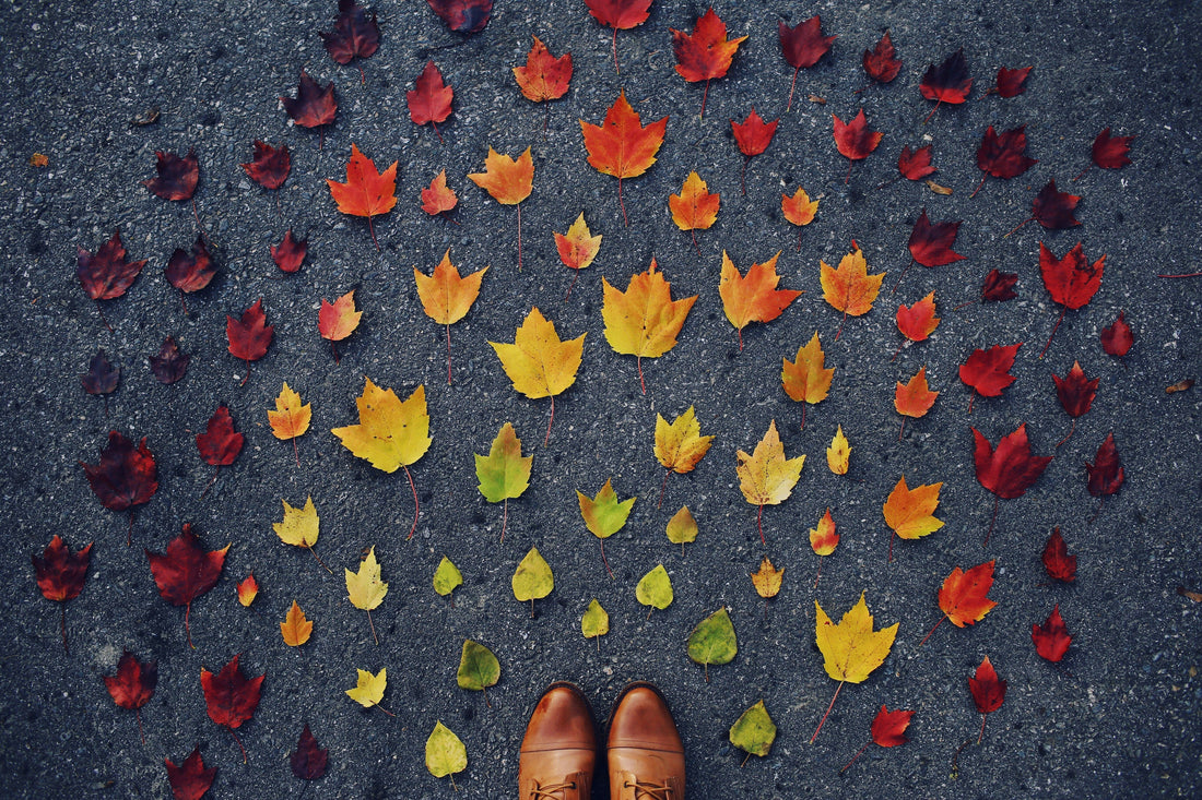 Back-to-Business Marketing: Strategies to Reignite Engagement After Summer