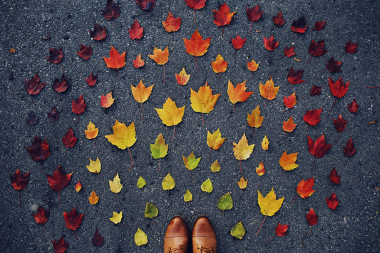 Back-to-Business Marketing: Strategies to Reignite Engagement After Summer